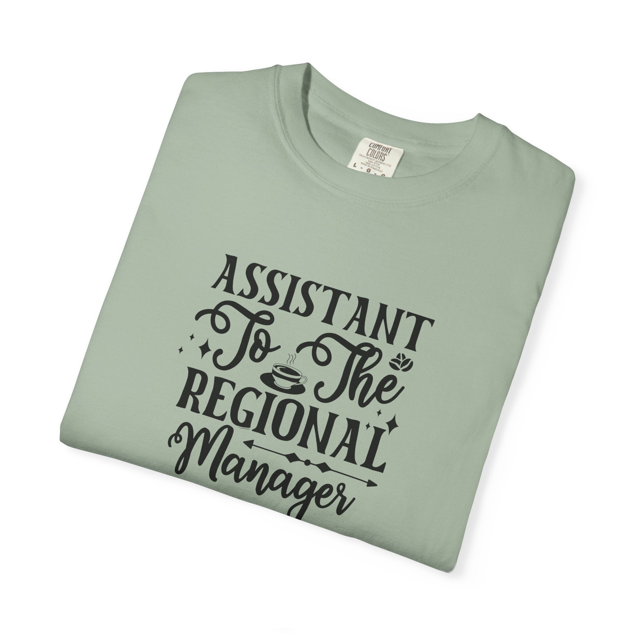Assistant To The Regional Manager T-Shirt