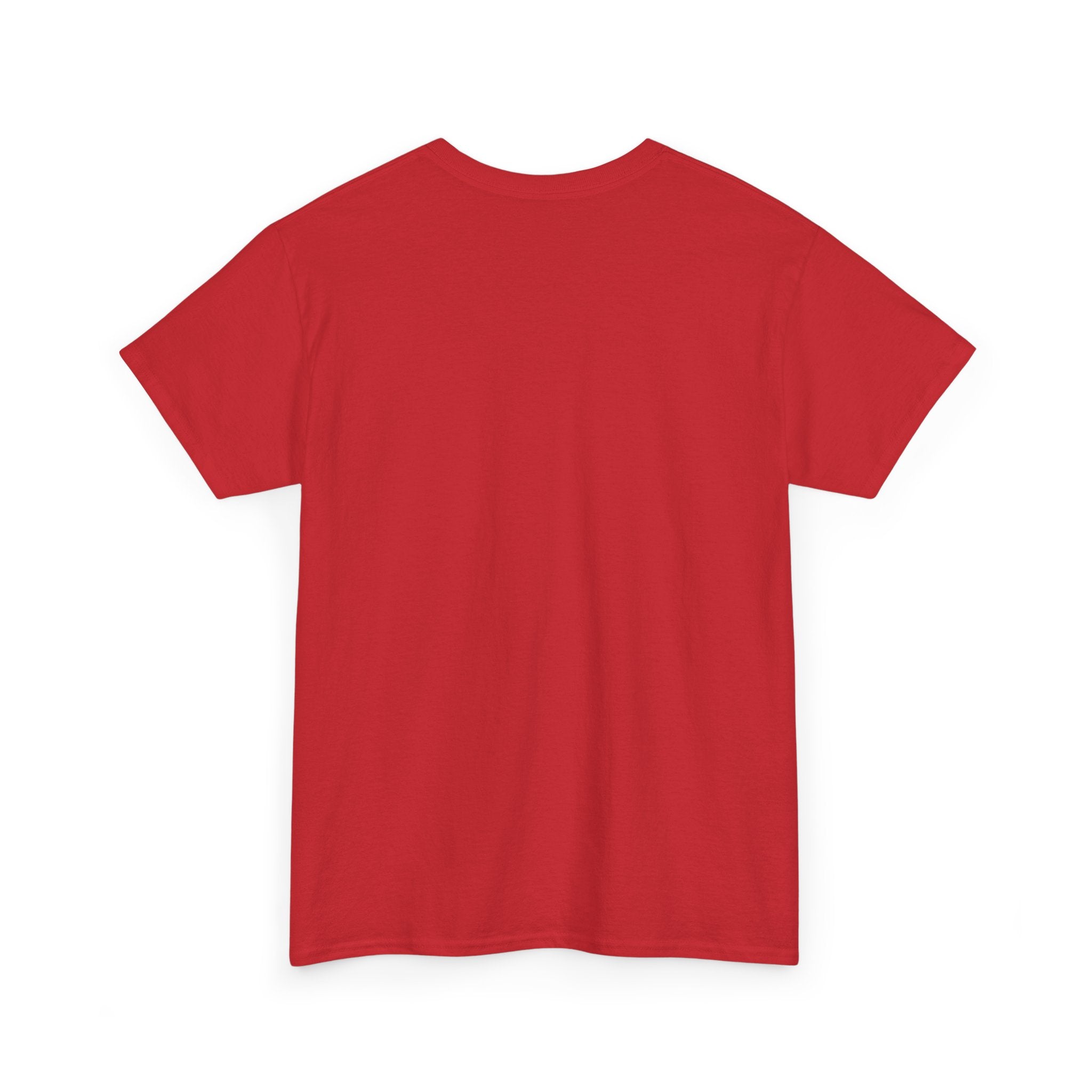 Off to Cause a Kerfuffle T-Shirt — Funny Frog Riding Raccoon Graphic Tee