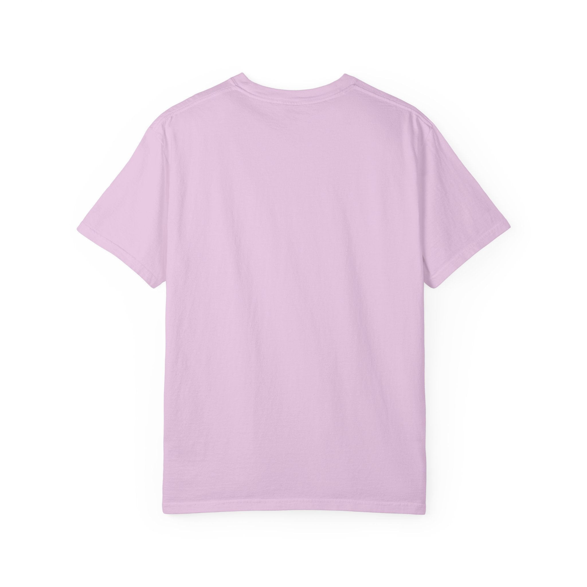 Snoopy & Woodstock Easter Eggs T-Shirt