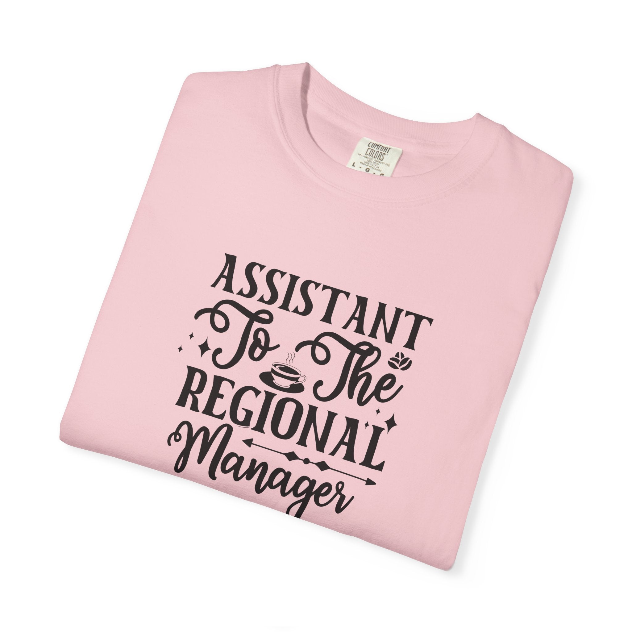 Assistant To The Regional Manager T-Shirt