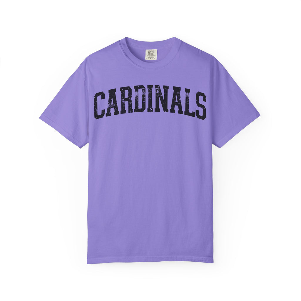 Cardinals Vintage Logo T-Shirt