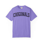 Cardinals Vintage Logo T-Shirt