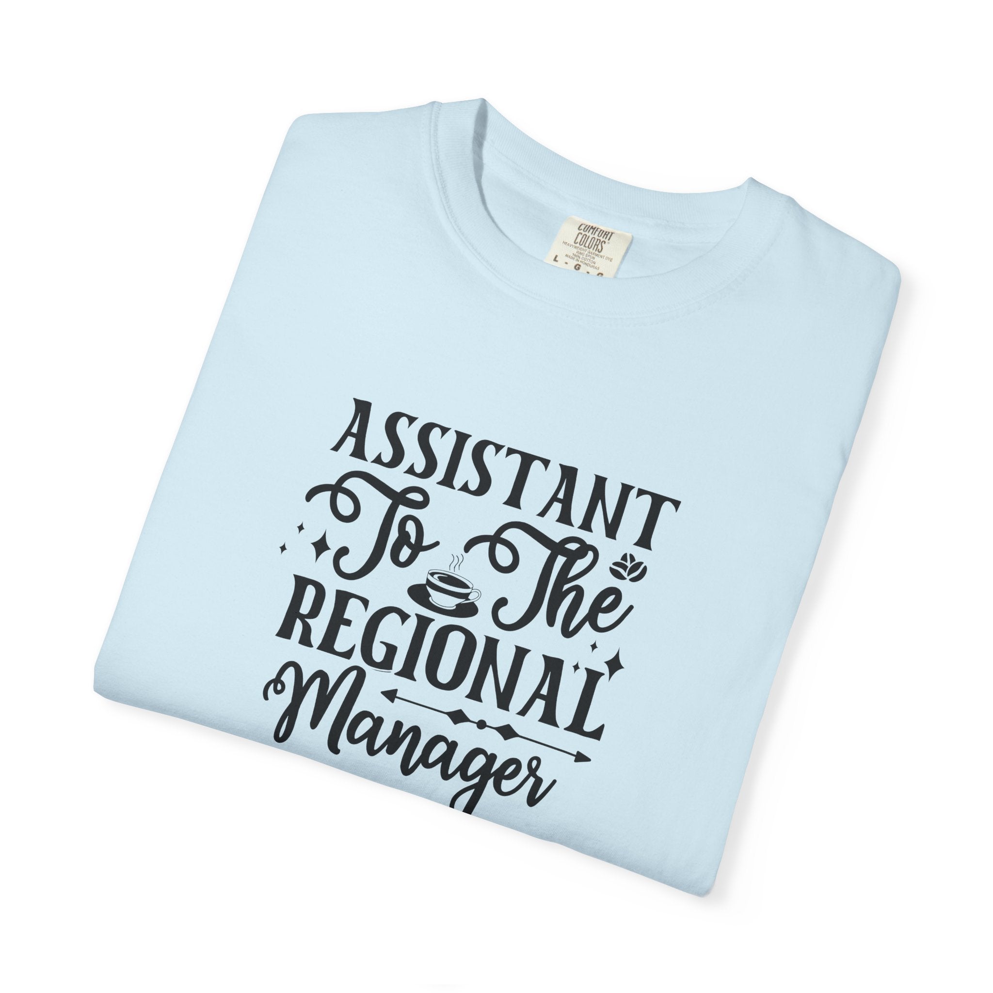 Assistant To The Regional Manager T-Shirt